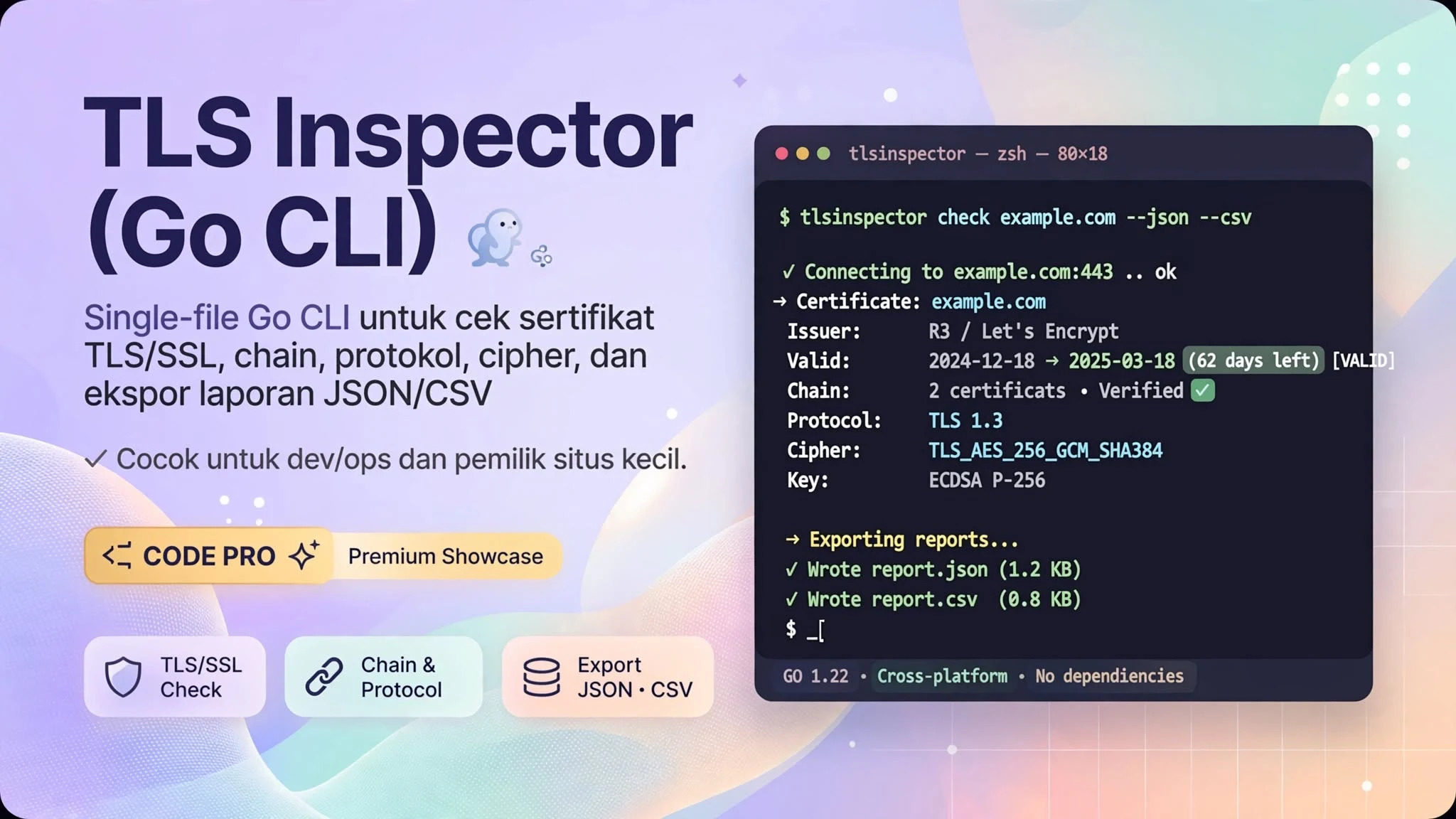 TLS Inspector (Go CLI)